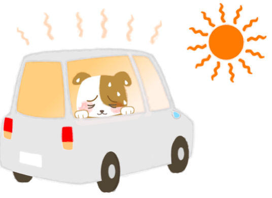 夏真っ盛り！灼熱の車内のハンドルは危険！